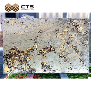 Fancy Pattern Pandora Gold Elegant Glossiness Granite Slabs