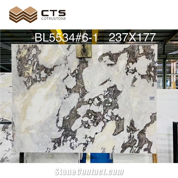 Real Marble White Polished Inner Decoration Bianco Picasso