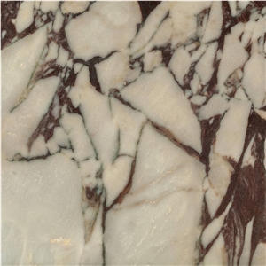 Calacatta Viola-Calacatta Violet Marble Slabs, Tiles