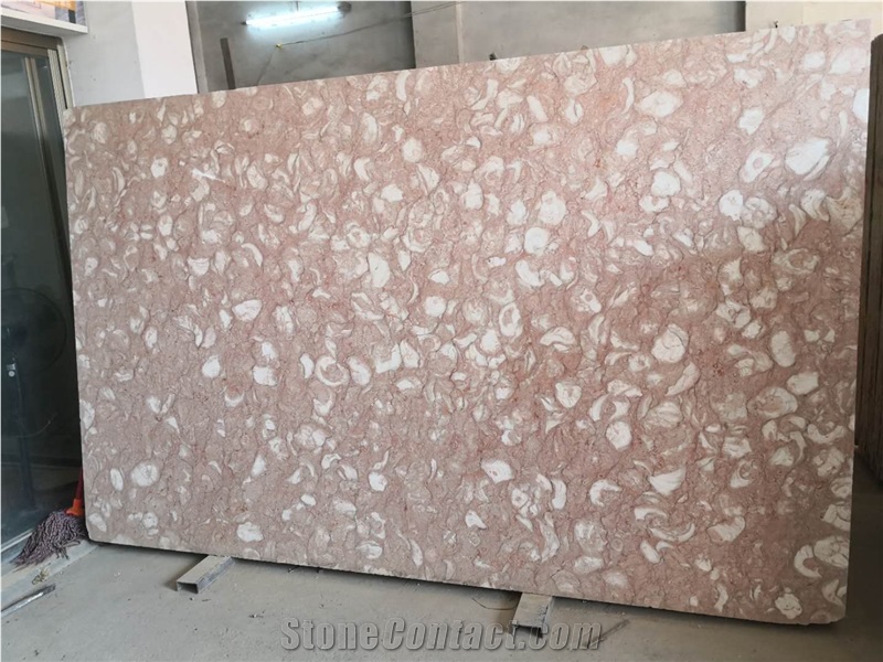 Orient Fossil Pink Limestone Slab