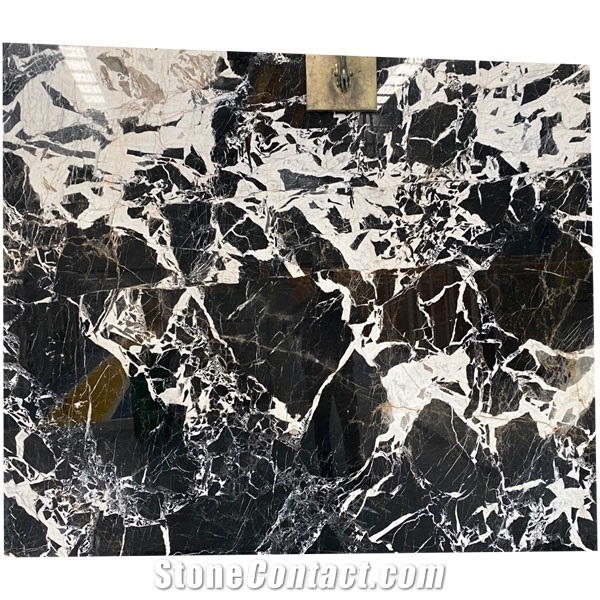 France Luxury Marble Noir Grand Antique Marble Slabs from China ...