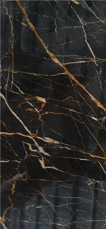 Saint Laurent Marble/ Golden Black Marble