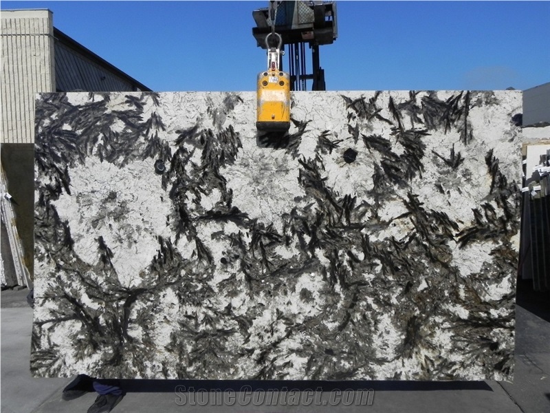 Super Delicatus Granite Slabs