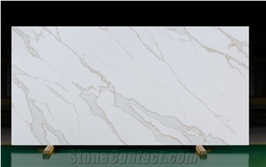 V8007 Quartz Slabs,White ,International General,Project
