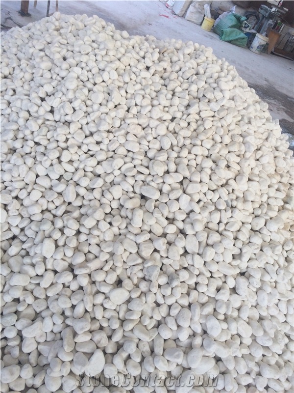 Best Price Pebble Paving Stone/Pebble Stone With Own Quarry
