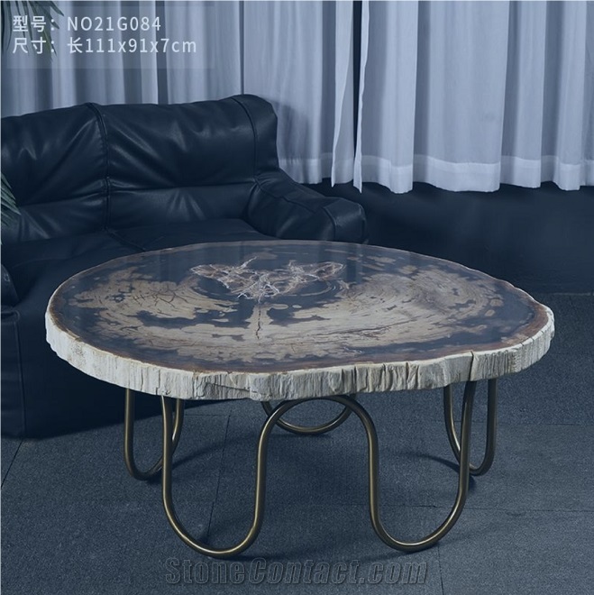 Luxury Natural Petrified Wood Table Top