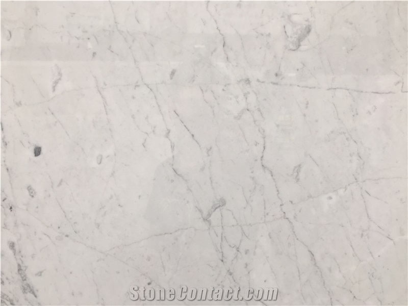 Italy Bianco Carrara Statuario Statuary White Marble Tiles