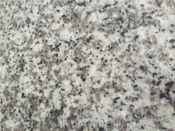 Jilin White Granite From Xzx-Stone