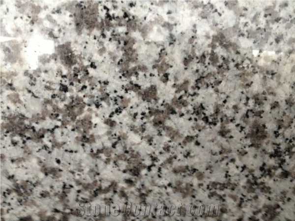Jilin White Granite From Xzx-Stone