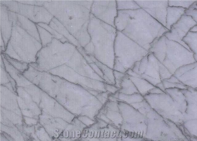 Binshi Gray Benz Silver Gray Italy Marble Slabs &Tiles