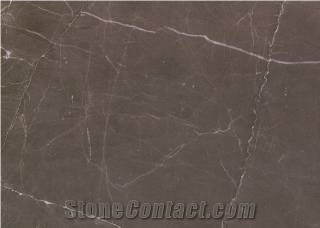 Coffee Mousse Marble Distinctive China Big Slabs