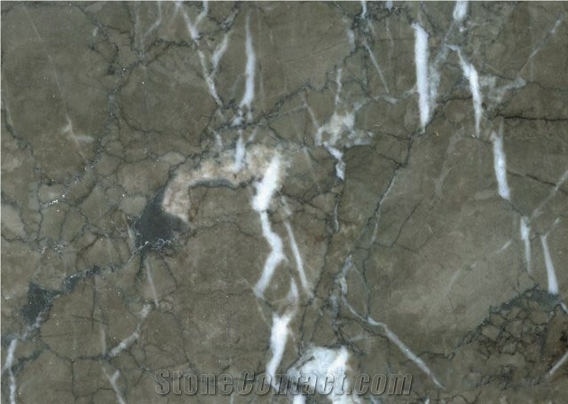 Italian Grey Delicate Unusual Marble Slabs China