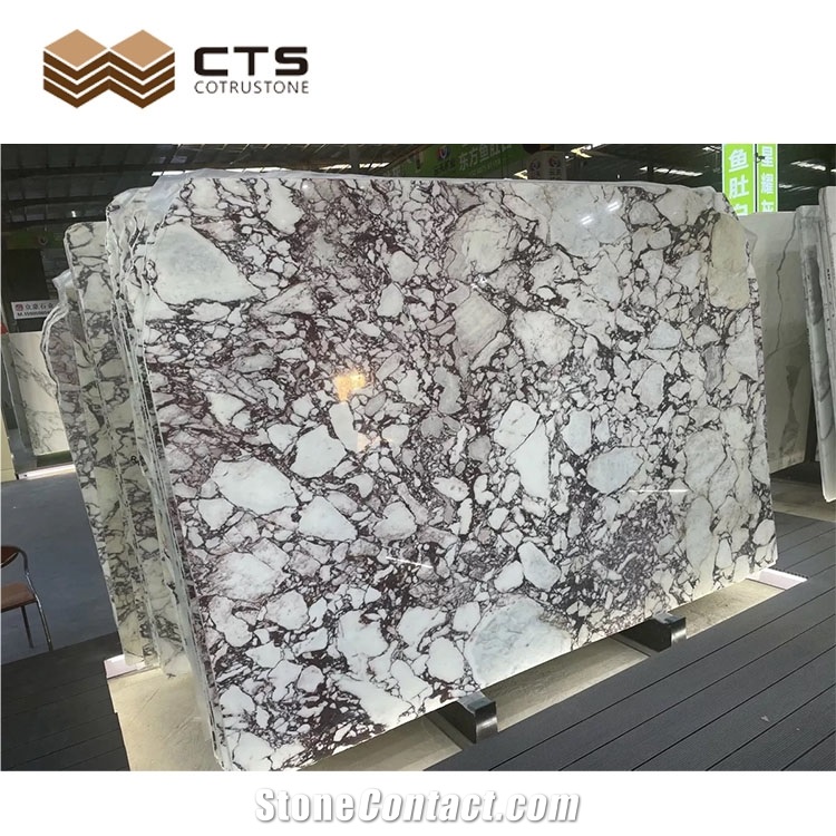 Calacatta Viola Luxury Marble Slab For Good Interior Design