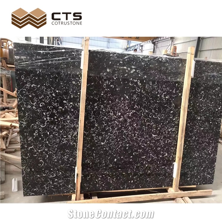 Fossil Black Marble Big Size Slab For Home Decorate Floor