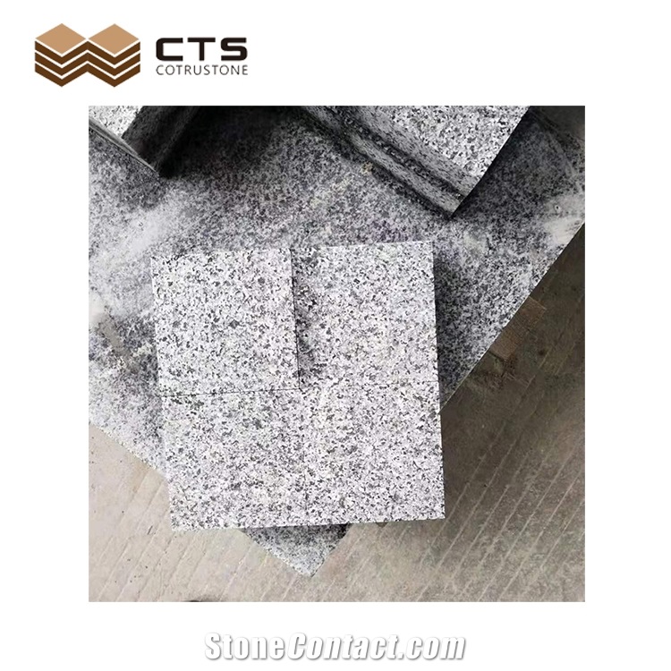 G654 Flamed Cheap Good Quality Paving Stone Granite Outdoor