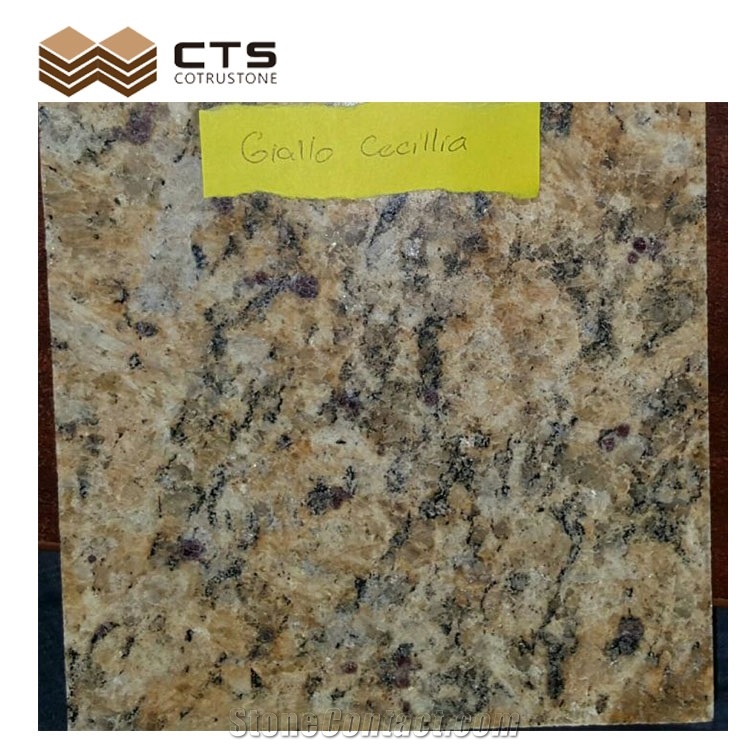 Giallo Santa Cecilia Bulky Grain Polished Granite Slabs
