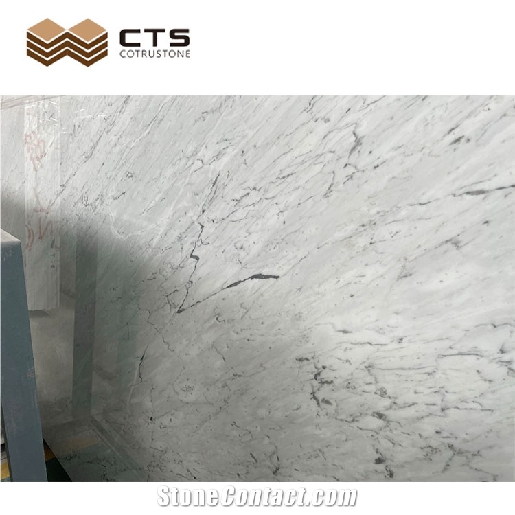 Glossiness Texture Carrara White Custom Modern Simple Style
