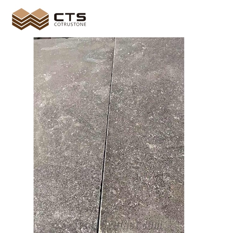 Grey Shell Limestone Slab Outdoor Floor Design