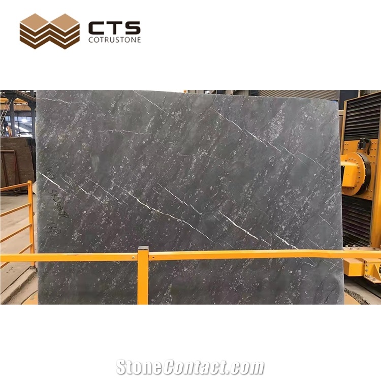 New Fossil Black Marble Home Decoration Flooring Wall Slab