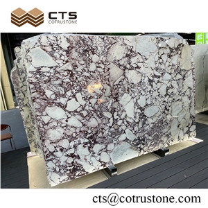 Turkey Unique Spectacular Dark Violet Veins Calacatta Marble