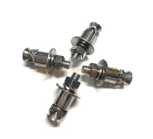 Fixing Anchors Undercut Bolt For Wall Cladding Panels