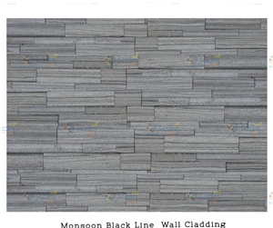 MONSOON BLACK QUARTZITE WALL PANELS