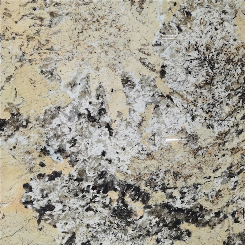 Alpinus Patagonia Crystal Quartzite Pattern Exotic Stone