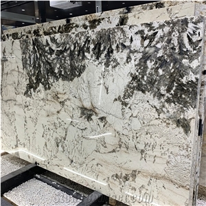 Alpinus White Quartzite Slab For Wall