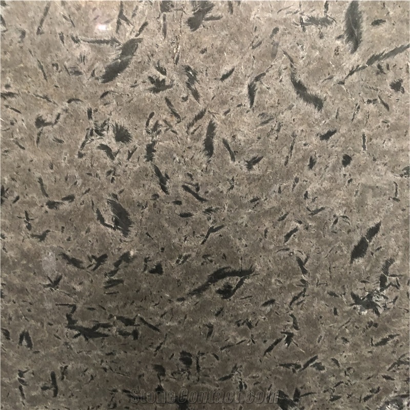 Goose Grey Materous Brazilian Exotic Granite Slab