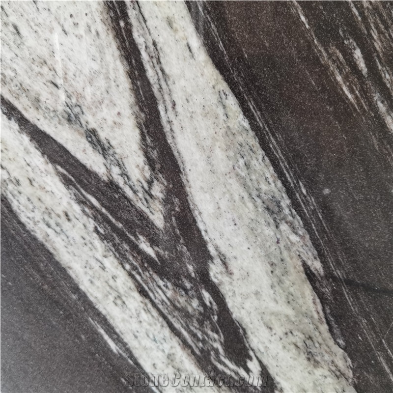Modern Black And White Quartzite Stone Slab
