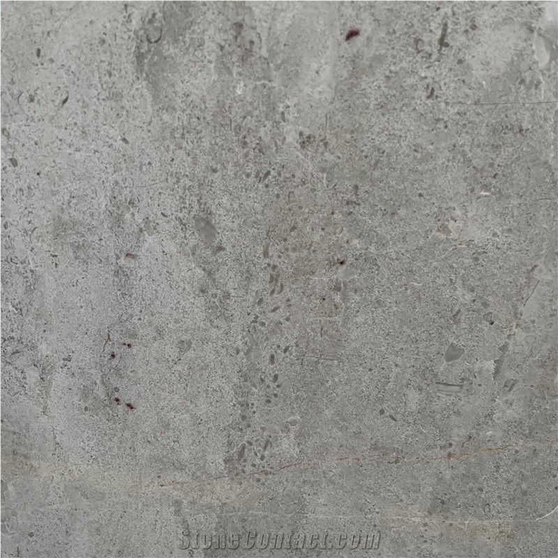 Wholesale Natural Stone Best Quality Caesar Grey Marble Slab
