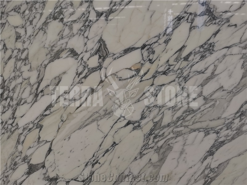 Italy Floor And Wall Tiles Polished Arabescato White Marble