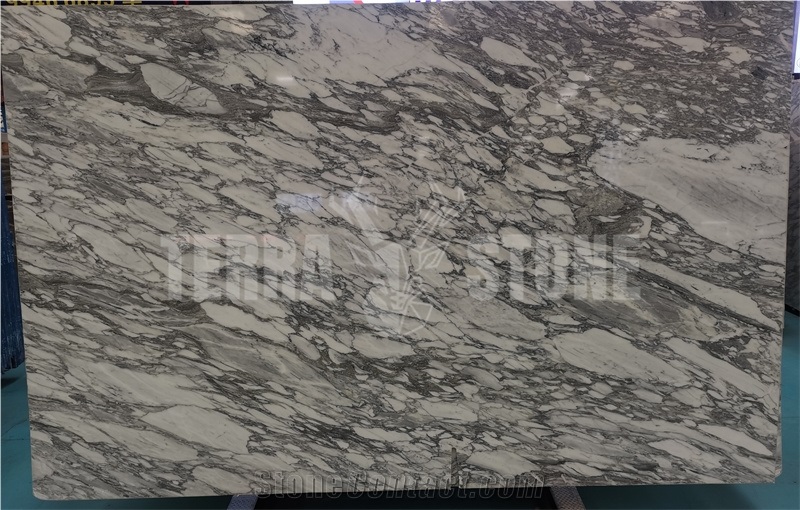 Italy Hot Sale Italy Competitive Arabescato White Marble