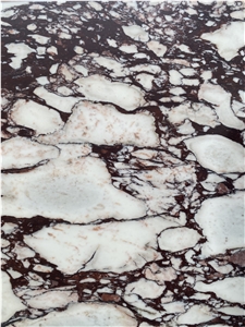 Calacatta Viola Marble Tiles & Slabs