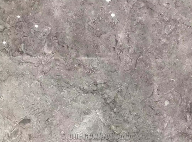 Turkey Dream Grey Polished Marble Slab Wall Tile