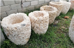 Calypso Coral Stone Planters, Beige Coral Flower Pot from United States 