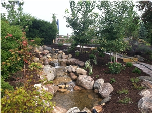 Water Features