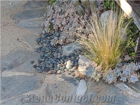 Black Mexican Beach Pebbles 1/2"- 1"