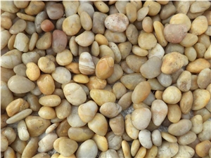 Gold Polished Pebbles 1"- 2"
