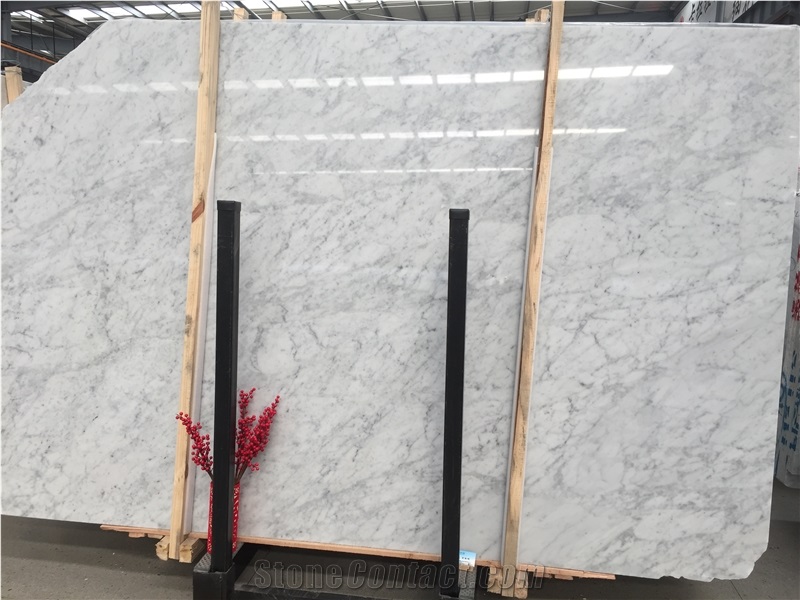 Calacatta Marble White Marble Project Wall Tile Wall Floor