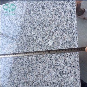 G603 Granite,China Sardinia,Gamma Bianco Silver Grey Granite