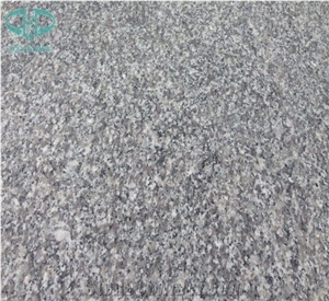 G623 Granite Tile/China Bianco Sardo/Haicang White/Rosa Beta