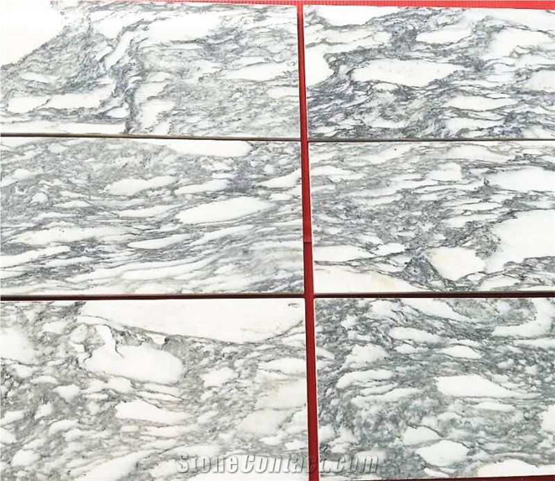Italian Arabescato Venato Marble,Marmi Arabescato Di Carrara