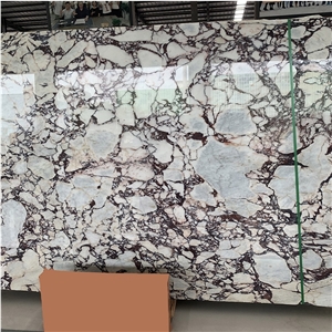 Italy Marmi Calacatta Viola Marmo,Bvlgari White Marble Slab