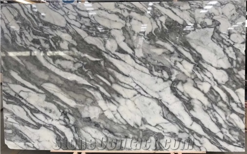 Complete In Specifications Arabescato White Marble Slab