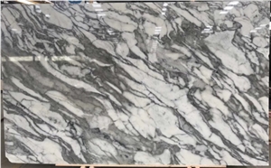 Complete In Specifications Arabescato White Marble Slab