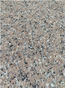 High Quality New Pink Granite Factory Slab