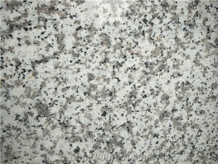 Stable Quality China G439 Polished Granite Slab & Tile