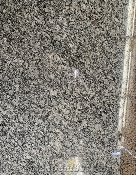 Stable Quality Spray White China Granite Slab