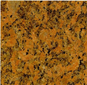 Superior Quality GIALLO FIORITO Red Type Polished Slab